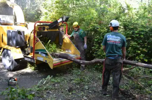 tree services Baxley